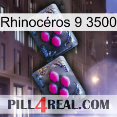 Rhinocéros 9 3500 01